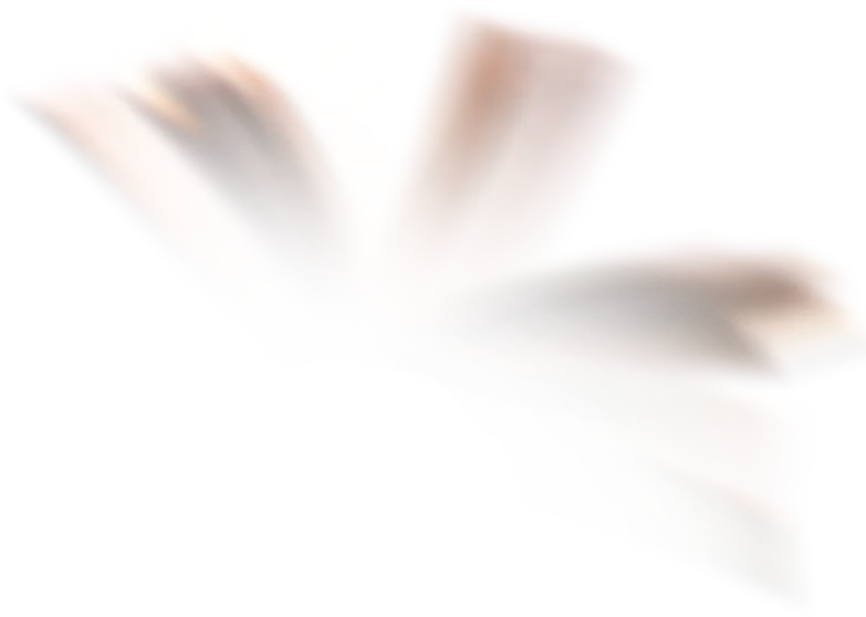Livro Registros Akáshicos: Contatos, Portais e Mentores